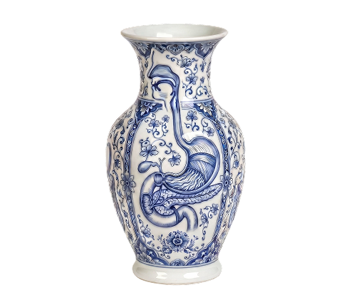 Blue and white ceramic vase decorated with anatomical illustrations of the gastrointestinal system.