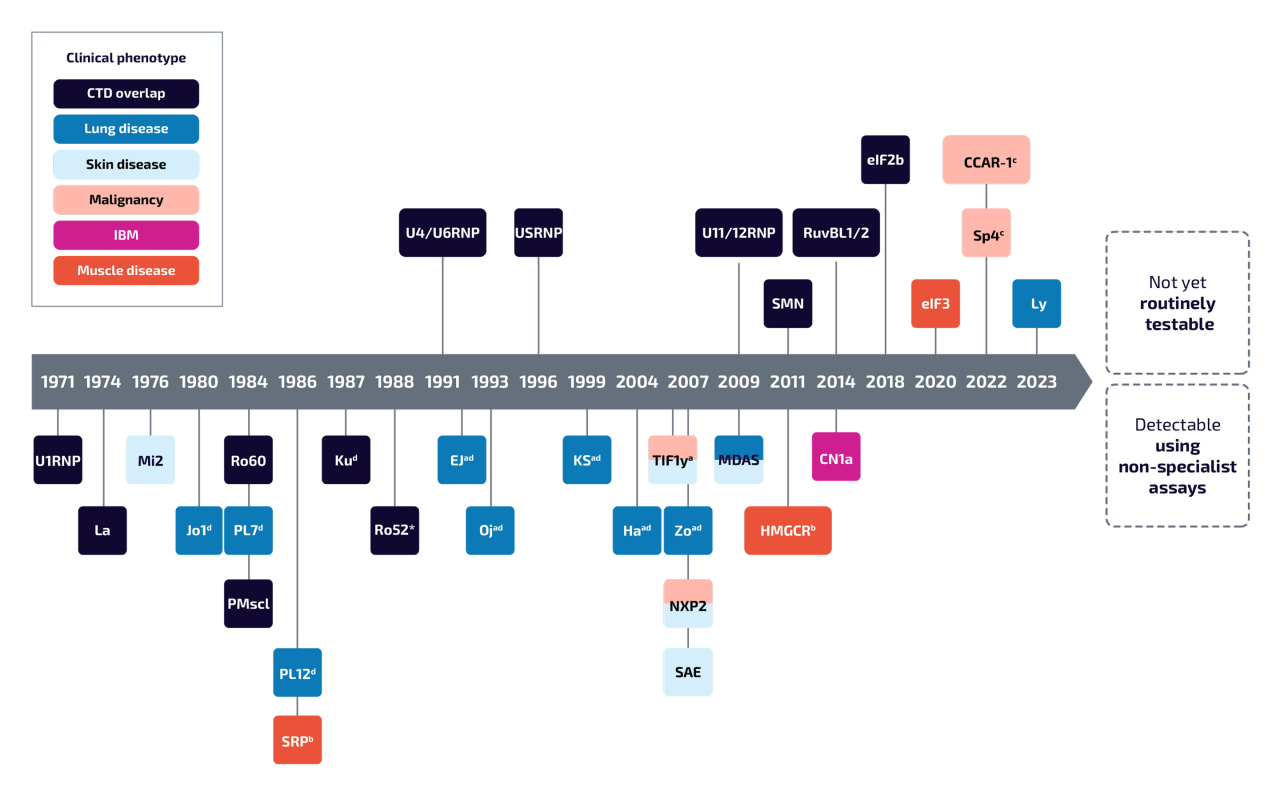 Timeline chart of autoantibodies identified across autoimmune myositis subtypes from 1971 to 2023, with color-coded labels indicating associated clinical phenotypes such as connective tissue disease overlap, lung disease, skin disease, malignancy, inclusion body myositis (IBM), and muscle disease. The chart includes antibodies such as Mi2, Jo1,  SRP, MDA5, HMGCR, TIF1γ, NXP2, SAE, cN1a, eIF3, Sp4, and others. The antibodies are grouped with labels indicating whether they are detectable using non-specialist assays or not yet routinely testable. 