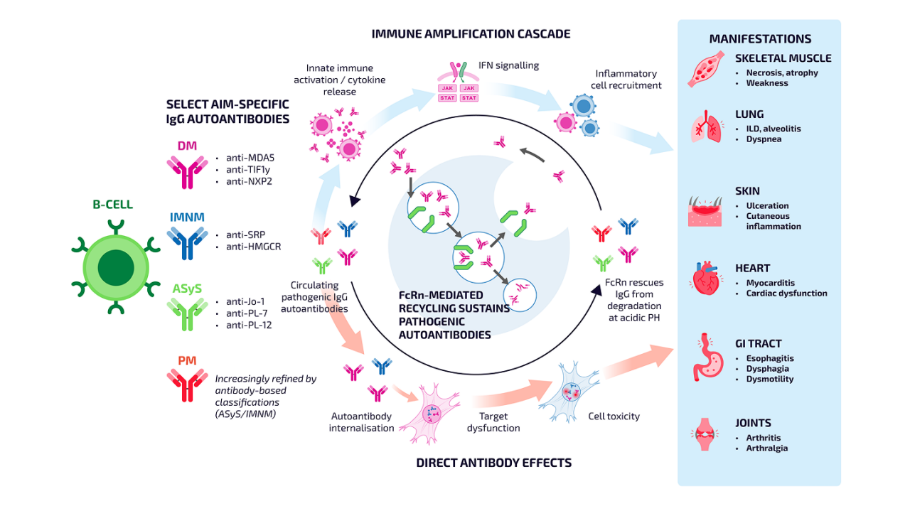 Clinical Phenotype