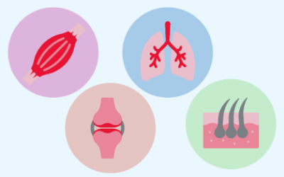 Collection of icons representing a muscle, lungs, joints, and skin.