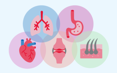 Collection of icons representing lungs, stomach, heart, joints, and skin.